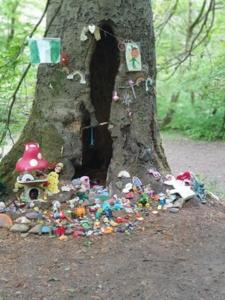 Justine Lake's photo of the Fairy Garden at Daisy Nook Country Park